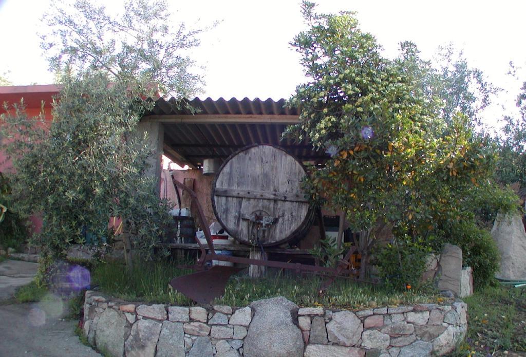 Agriturismo Su Barraccu Villa Loceri Exterior photo