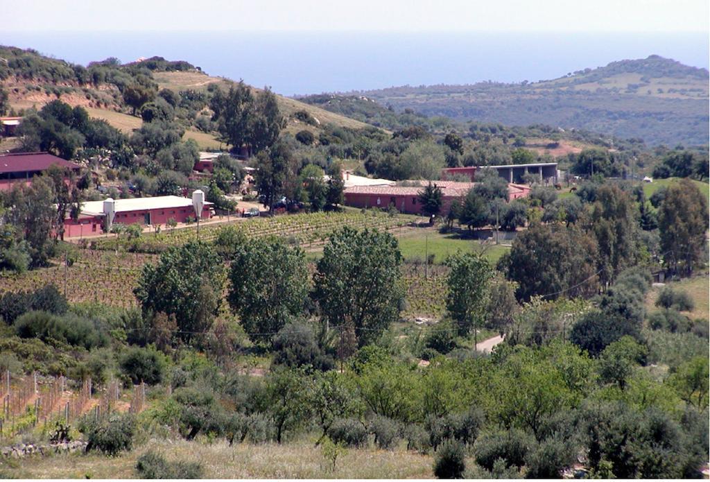 Agriturismo Su Barraccu Villa Loceri Exterior photo