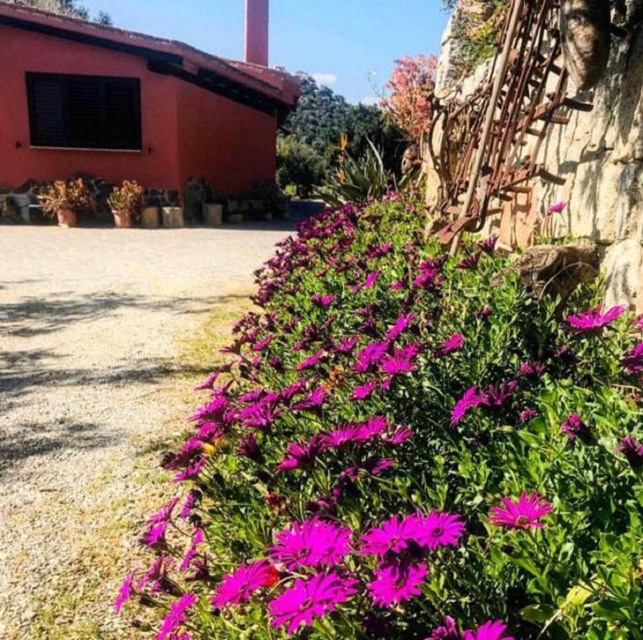 Agriturismo Su Barraccu Villa Loceri Exterior photo